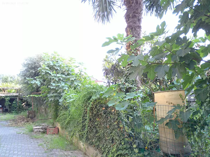 Immagine 33 di Casa indipendente in vendita  in strada Contessa 103 a Almese