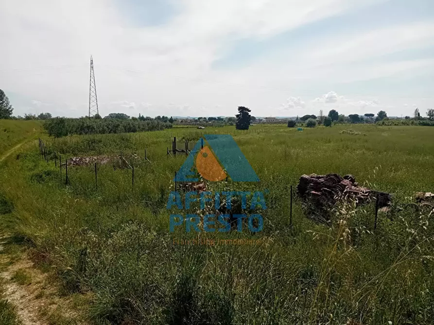 Immagine 2 di Terreno agricolo in vendita  a San Miniato