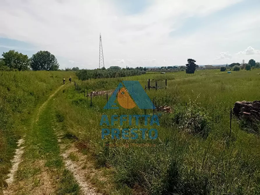 Immagine 3 di Terreno agricolo in vendita  a San Miniato