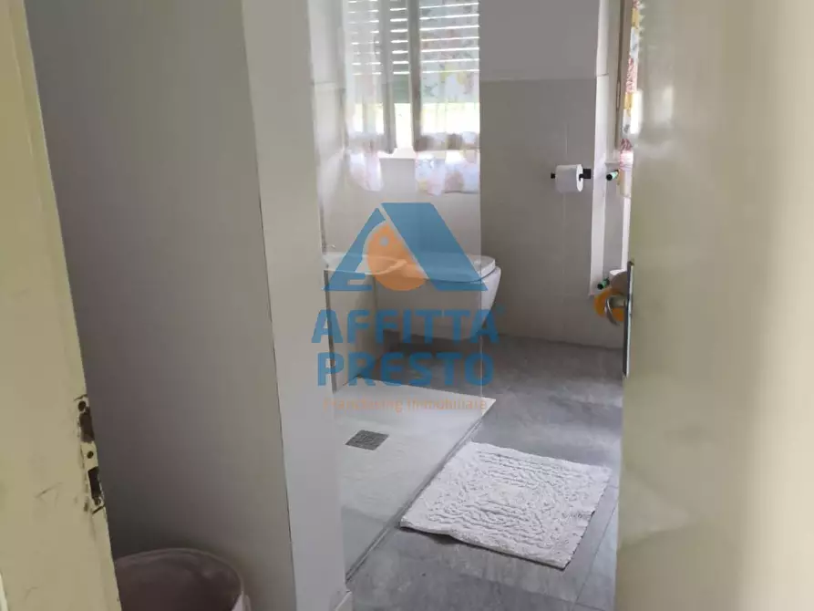 Immagine 17 di Casa indipendente in affitto  a Pietrasanta
