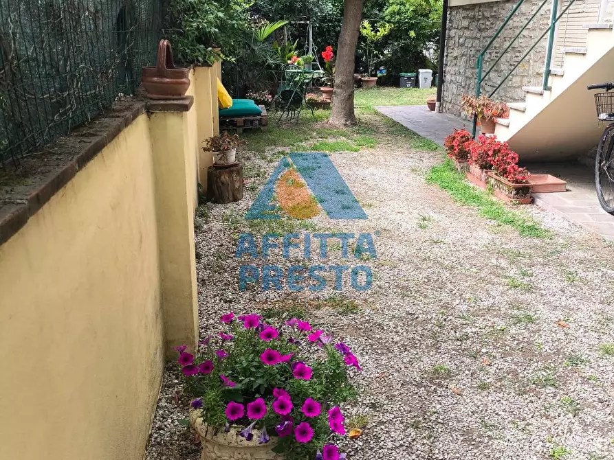 Immagine 2 di Casa indipendente in affitto  a Pietrasanta