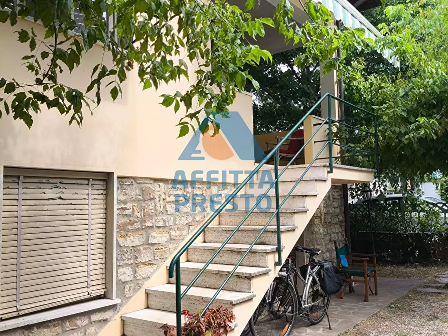 Immagine 16 di Casa indipendente in affitto  a Pietrasanta