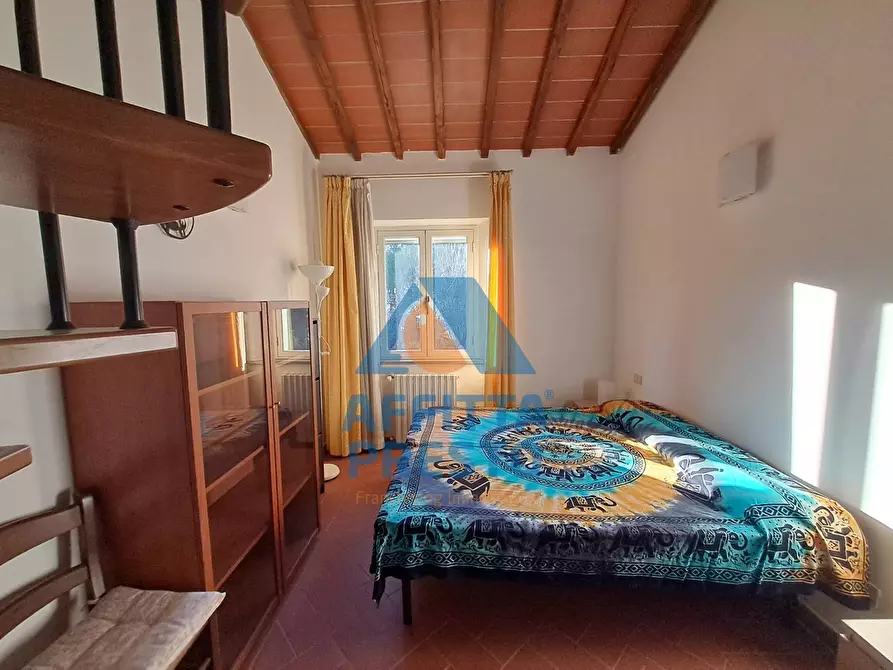 Immagine 5 di Appartamento in affitto  a Cerreto Guidi