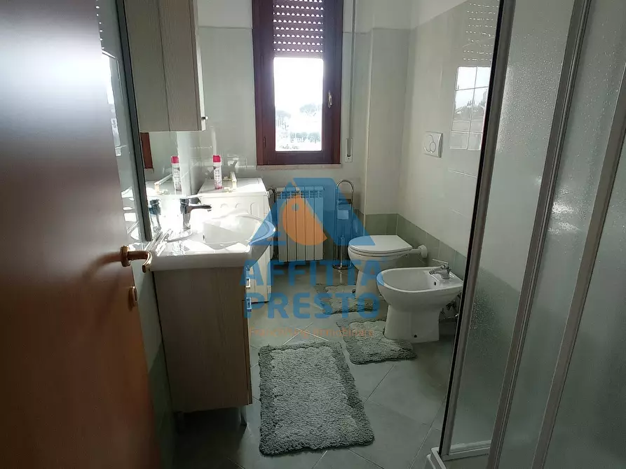 Immagine 13 di Appartamento in affitto  a Santa Croce Sull'arno