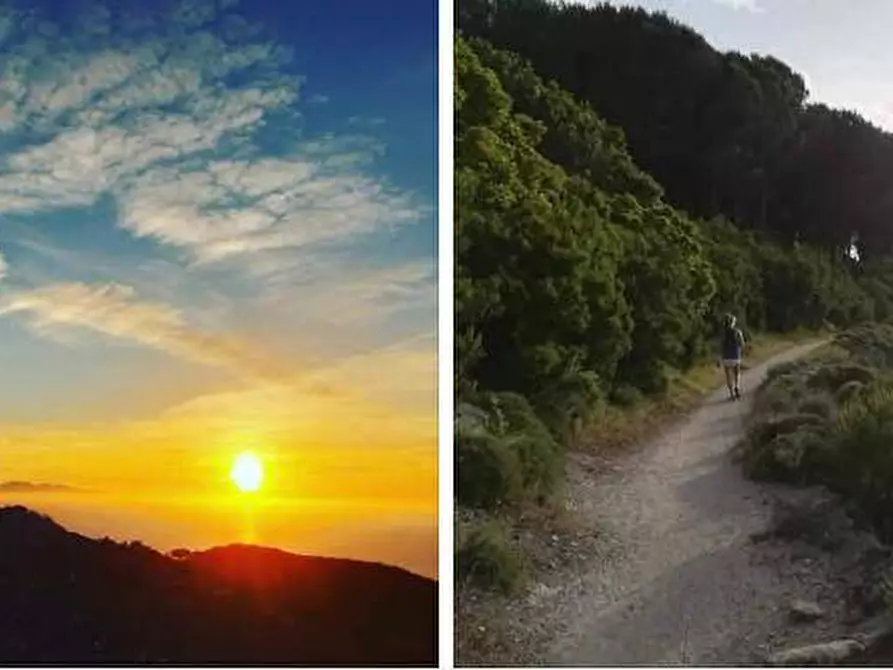 Immagine 2 di Appartamento in vendita  a Marciana