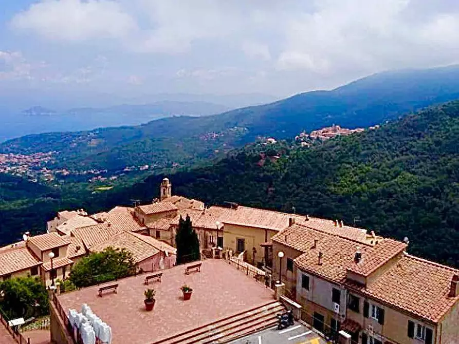 Immagine 4 di Appartamento in vendita  a Marciana