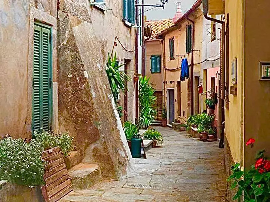 Immagine 6 di Appartamento in vendita  a Marciana