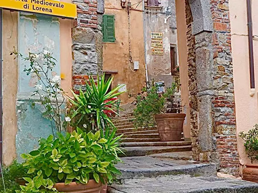 Immagine 7 di Appartamento in vendita  a Marciana