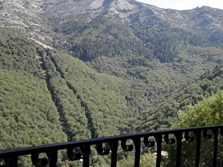 Immagine 17 di Appartamento in vendita  a Marciana