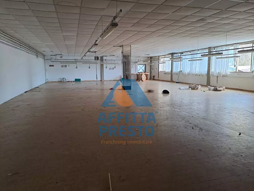 Immagine 4 di Capannone industriale in affitto  a Capraia E Limite