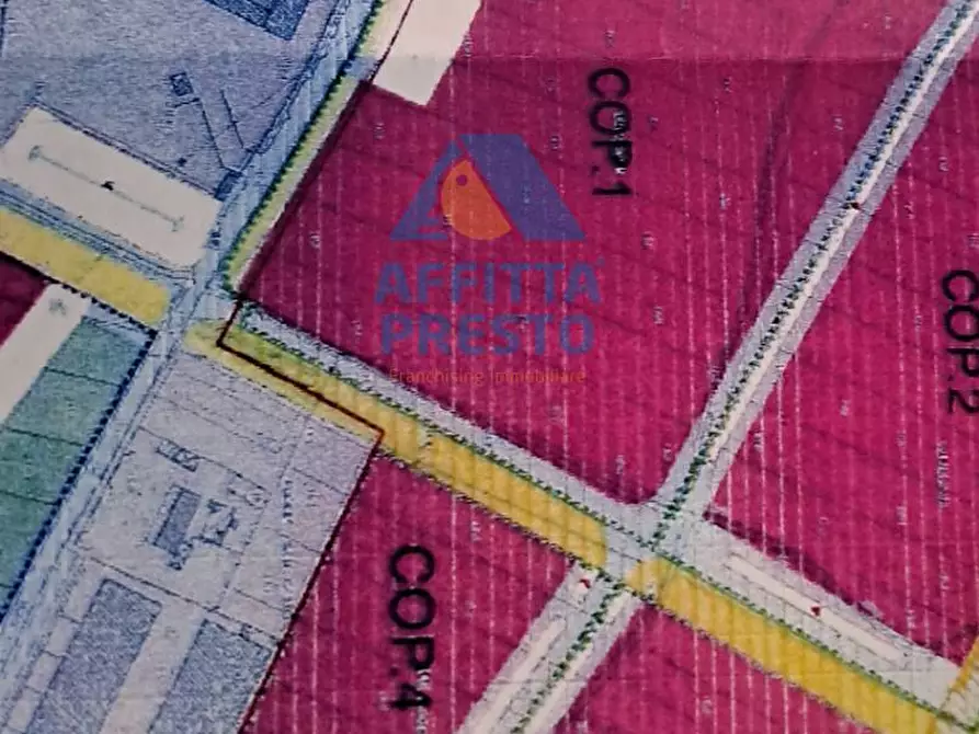 Immagine 1 di Terreno agricolo in vendita  a Casciana Terme Lari