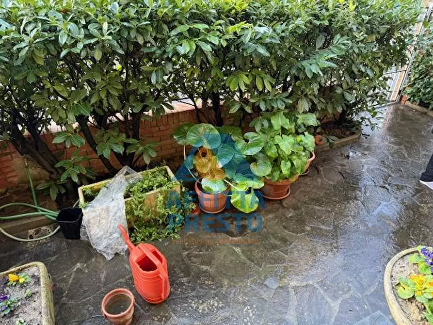 Immagine 50 di Appartamento in vendita  a Empoli