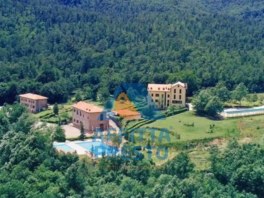 Immagine 5 di Attività commerciale in affitto  a Grosseto