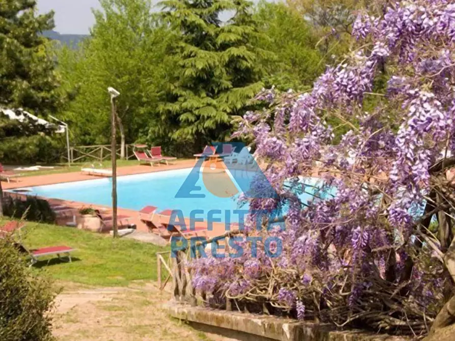 Immagine 3 di Attività commerciale in affitto  a Grosseto