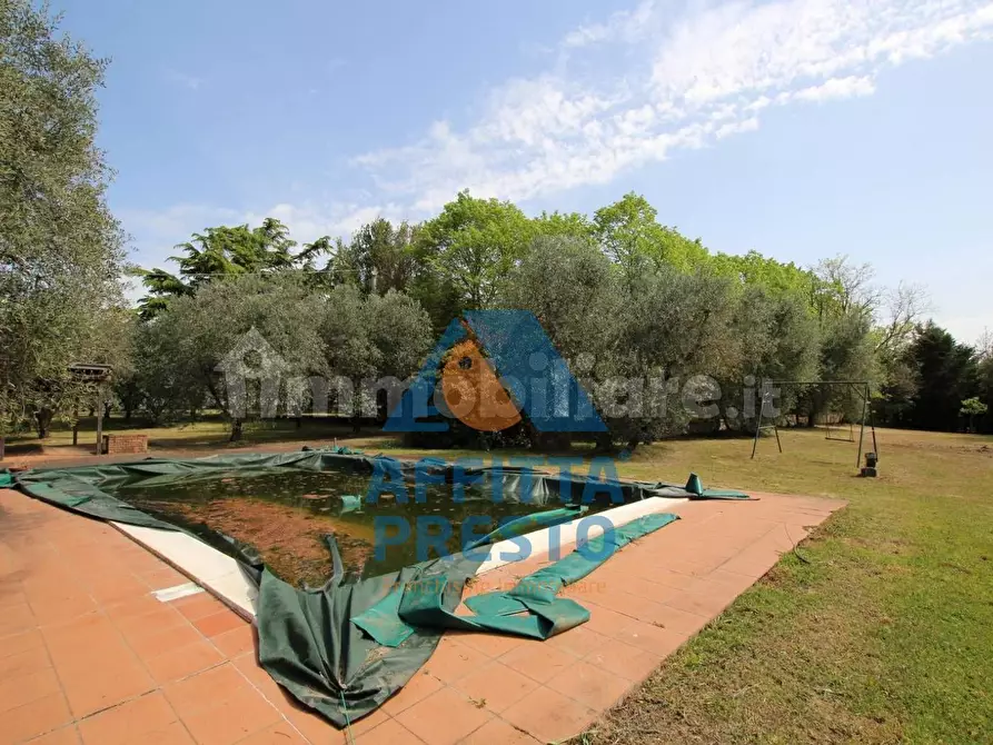 Immagine 2 di Casa indipendente in vendita  a Vinci