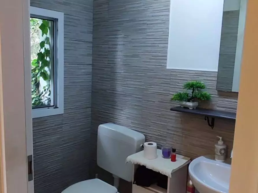 Immagine 10 di Appartamento in affitto  a Pisa