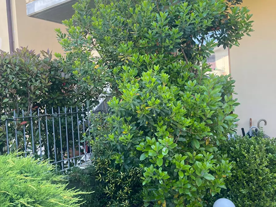 Immagine 12 di Appartamento in vendita  a Fucecchio