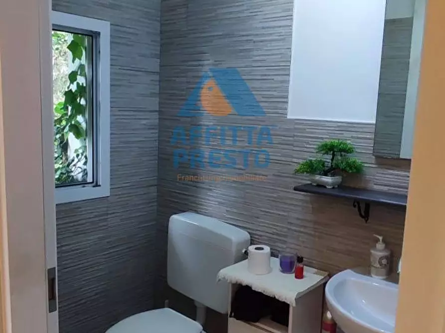 Immagine 4 di Appartamento in affitto  a Pisa