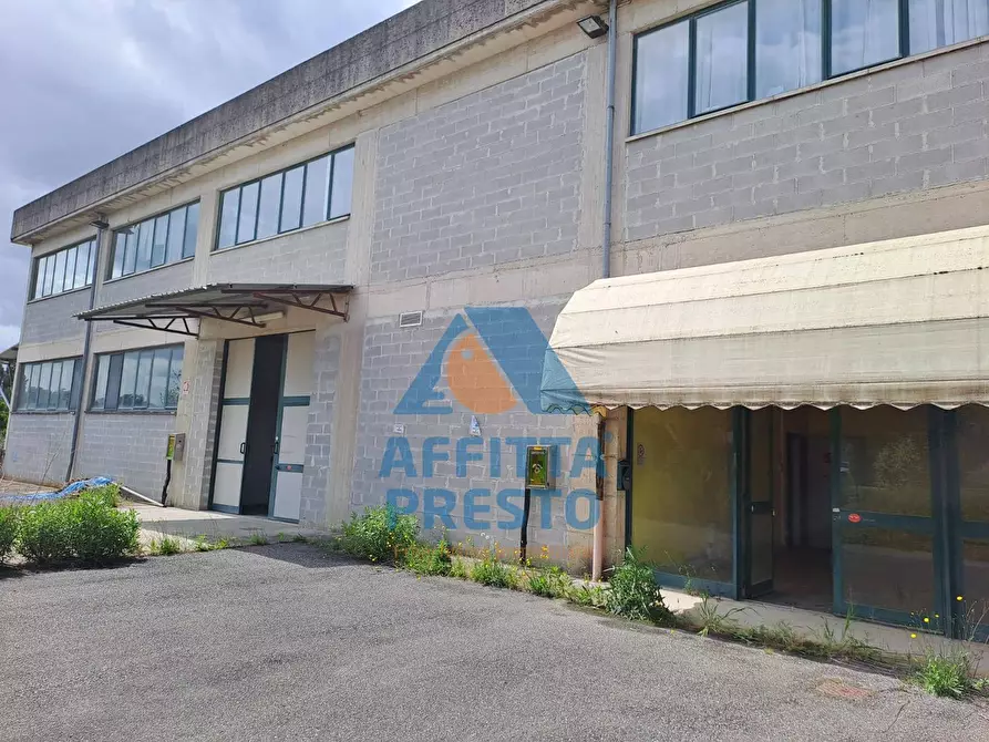 Immagine 23 di Laboratorio in affitto  a Empoli