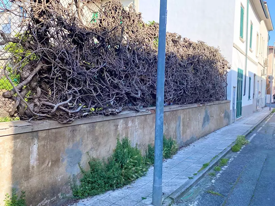 Immagine 3 di Casa semindipendente in vendita  a Rosignano Marittimo