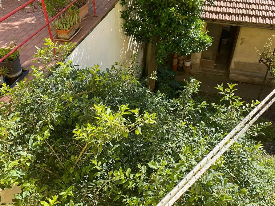 Immagine 4 di Casa semindipendente in vendita  a Rosignano Marittimo