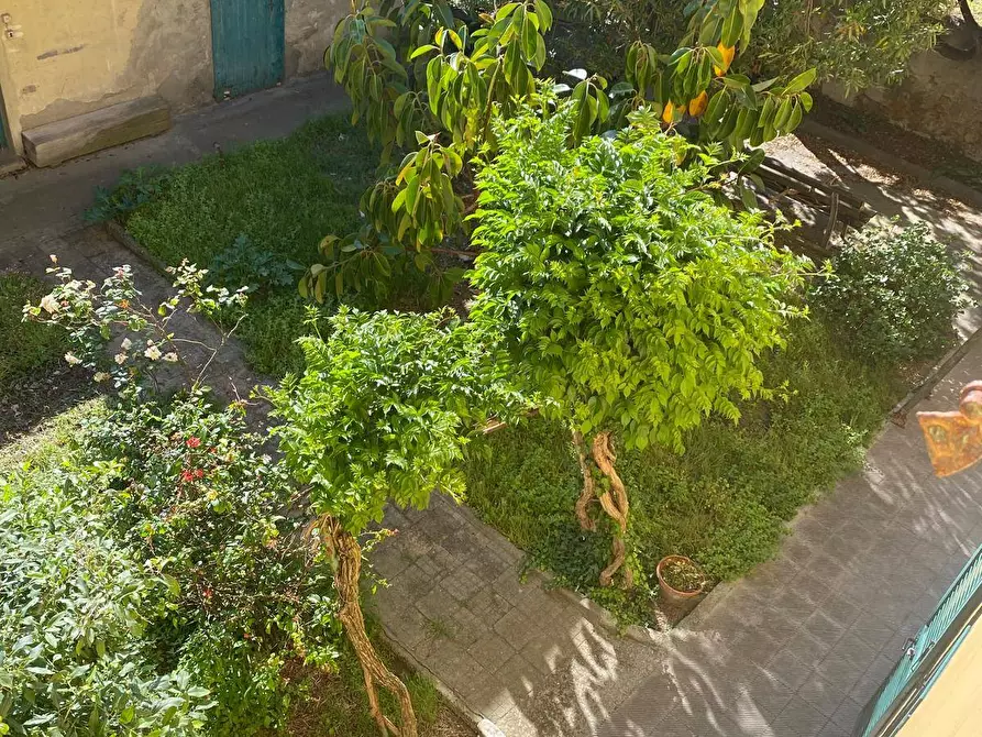 Immagine 6 di Casa semindipendente in vendita  a Rosignano Marittimo