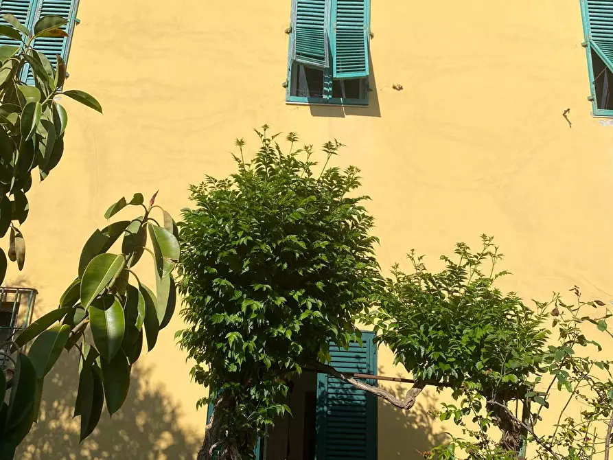 Immagine 9 di Casa semindipendente in vendita  a Rosignano Marittimo