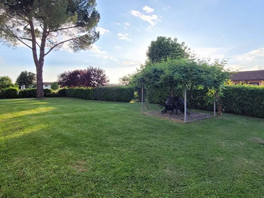 Immagine 1 di Appartamento in affitto  a Fucecchio