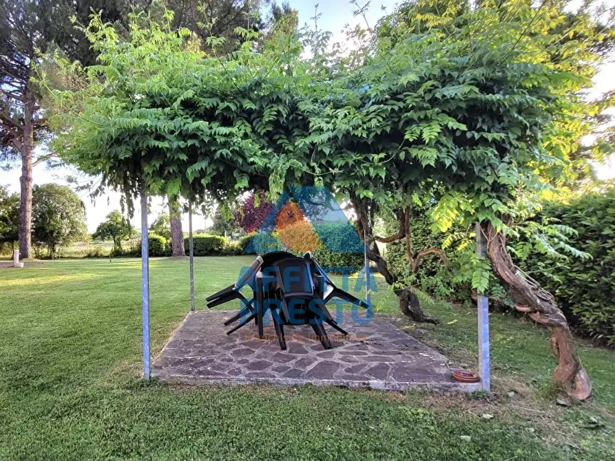 Immagine 2 di Appartamento in affitto  a Fucecchio