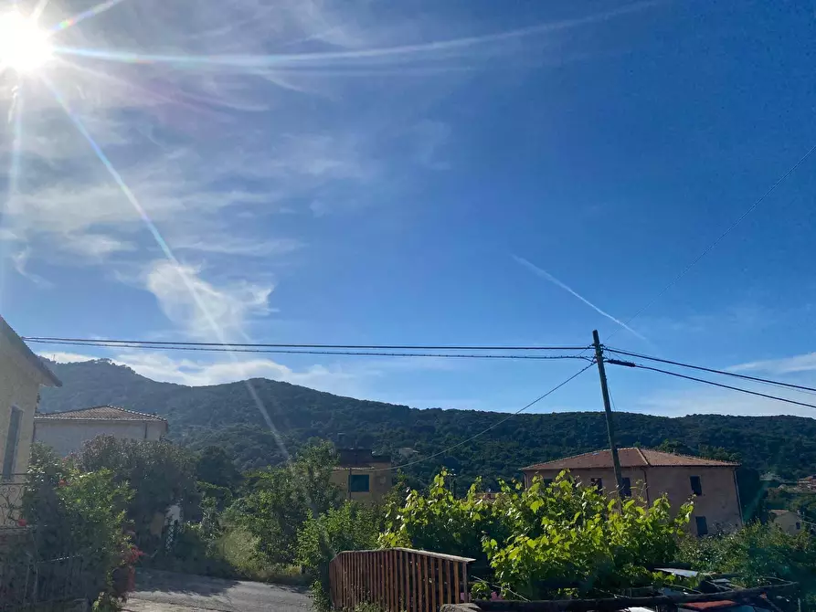 Immagine 4 di Appartamento in vendita  a Marciana Marina