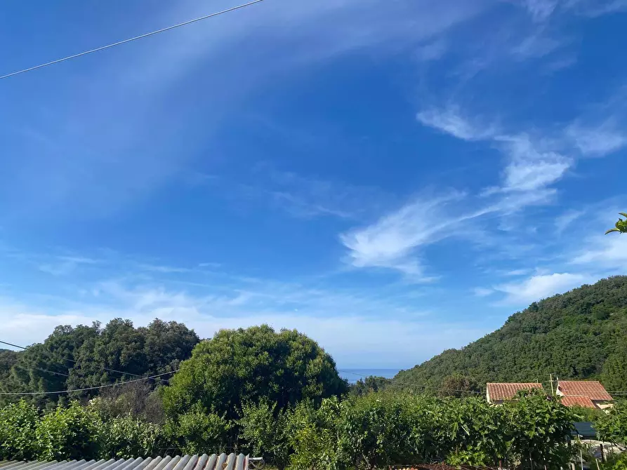 Immagine 5 di Appartamento in vendita  a Marciana Marina