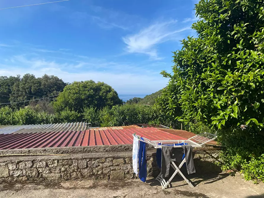 Immagine 6 di Appartamento in vendita  a Marciana Marina