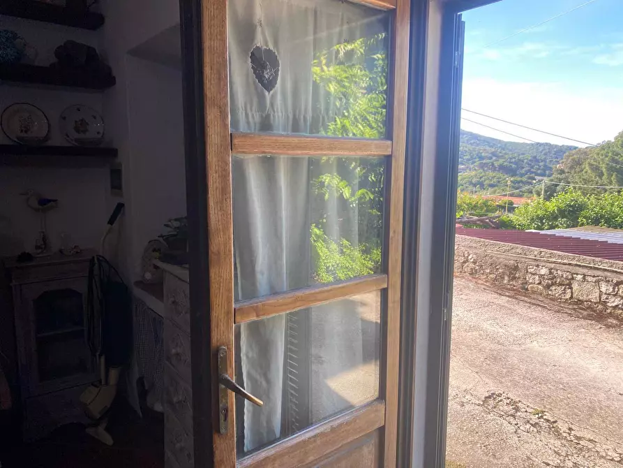 Immagine 8 di Appartamento in vendita  a Marciana Marina