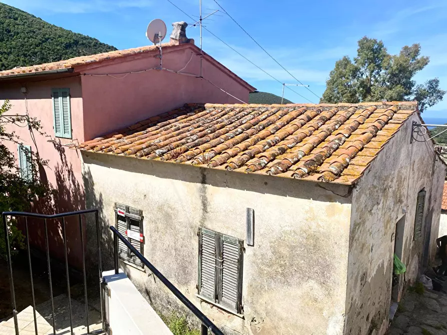 Immagine 1 di Appartamento in vendita  a Marciana