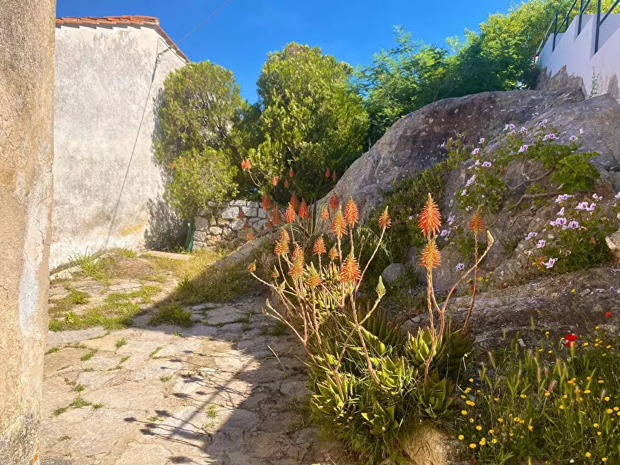 Immagine 4 di Appartamento in vendita  a Marciana