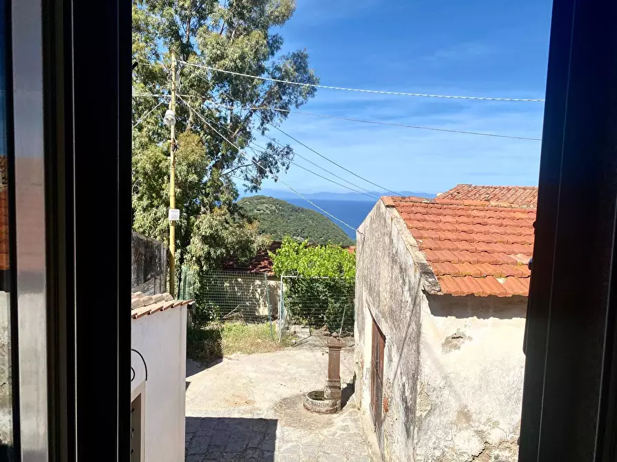 Immagine 13 di Appartamento in vendita  a Marciana
