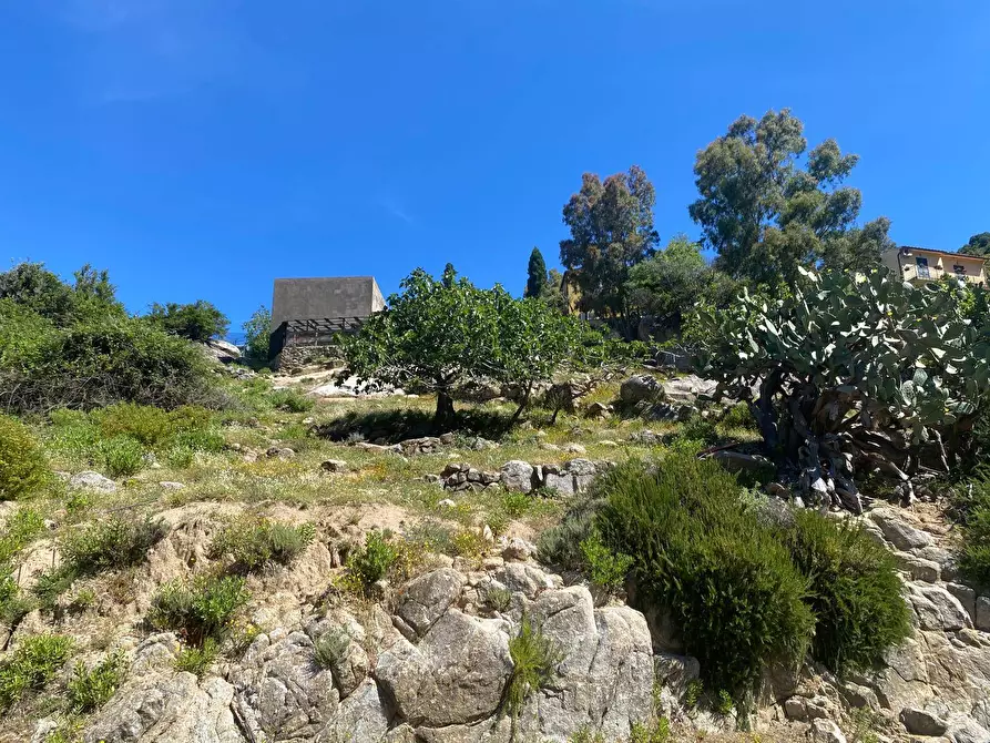 Immagine 5 di Terreno residenziale in vendita  a Marciana