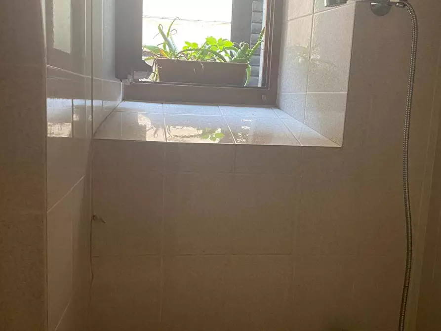 Immagine 11 di Appartamento in vendita  a Marciana Marina