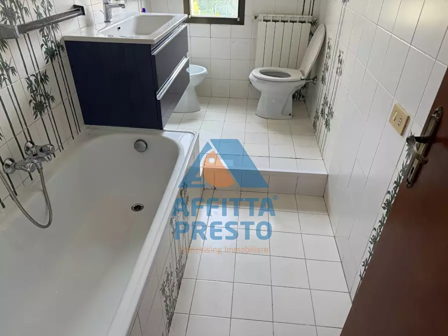 Immagine 5 di Camera in affitto  a Empoli