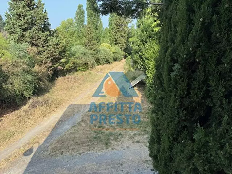 Immagine 5 di Casa indipendente in vendita  a San Miniato