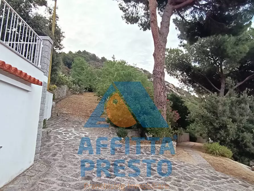 Immagine 3 di Appartamento in affitto  a Campo Nell'elba