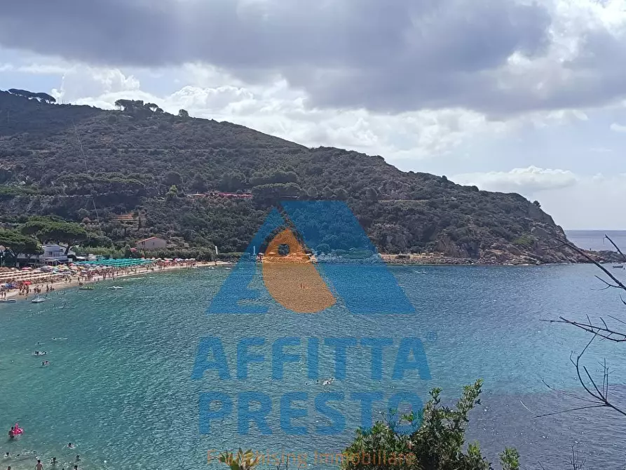Immagine 7 di Appartamento in affitto  a Campo Nell'elba