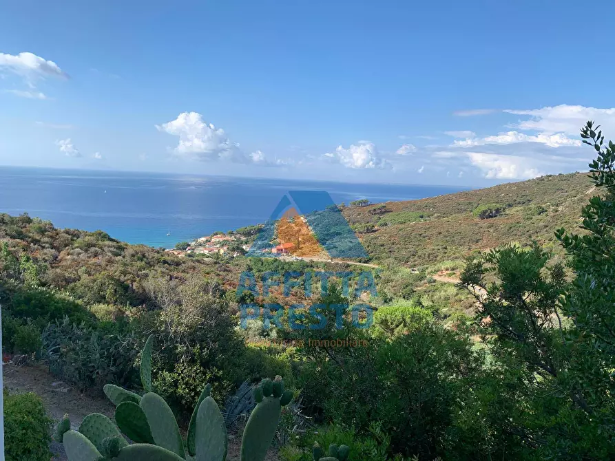 Immagine 8 di Appartamento in affitto  a Campo Nell'elba