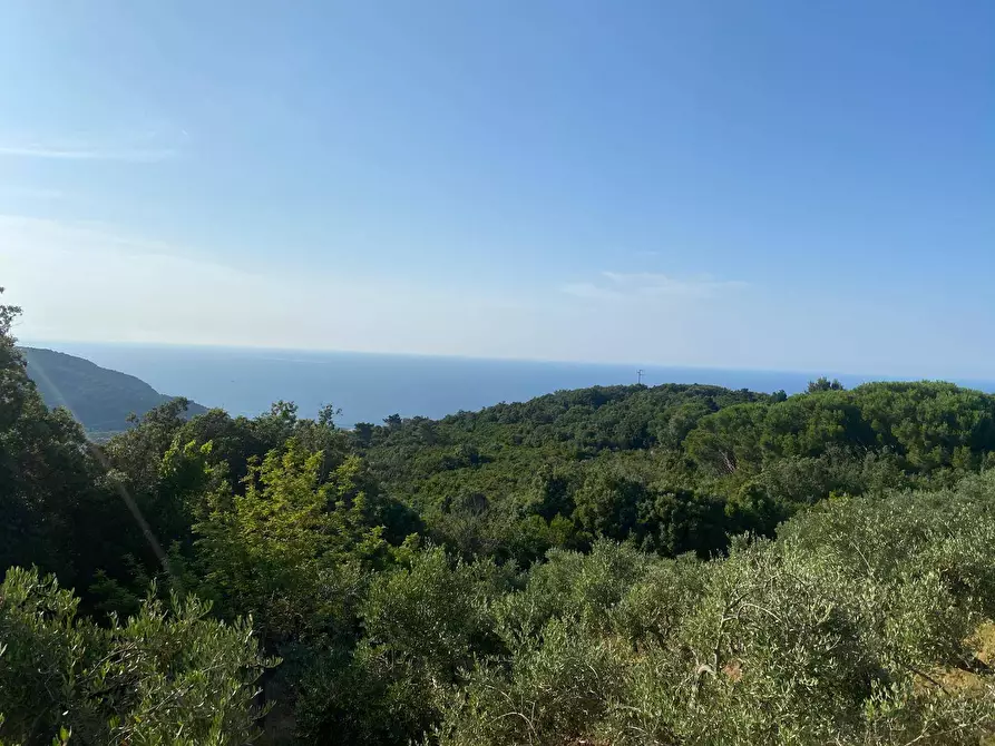 Immagine 6 di Terreno residenziale in vendita  a Marciana