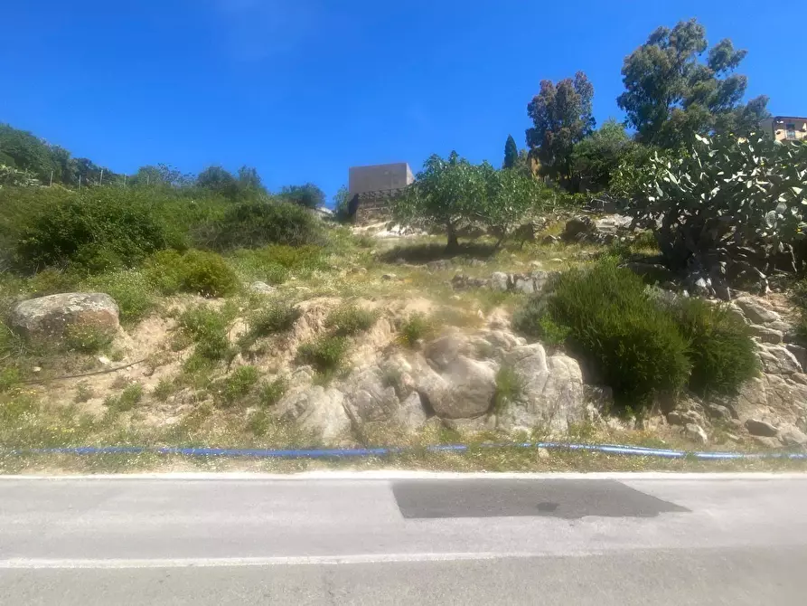 Immagine 7 di Terreno residenziale in vendita  a Marciana