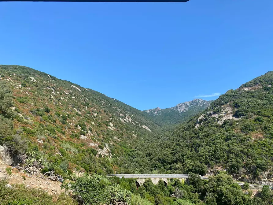 Immagine 8 di Terreno residenziale in vendita  a Marciana