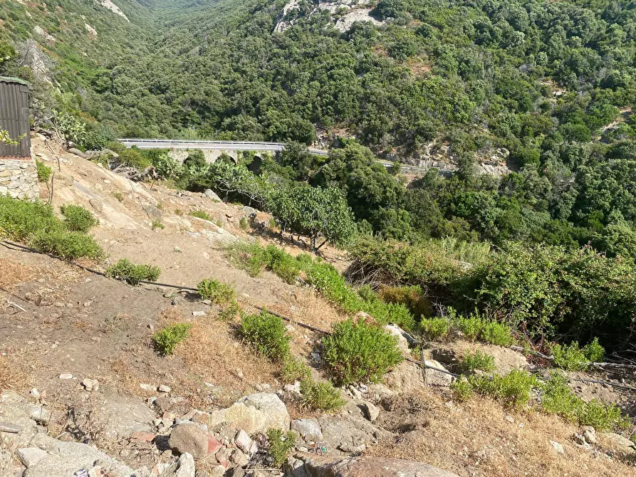 Immagine 9 di Terreno residenziale in vendita  a Marciana