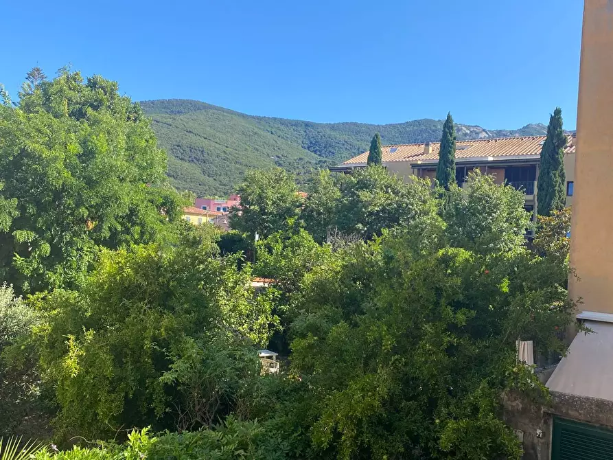 Immagine 3 di Appartamento in vendita  a Marciana Marina