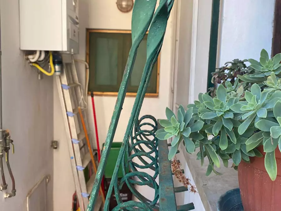 Immagine 8 di Appartamento in vendita  a Marciana Marina