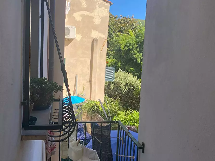 Immagine 14 di Appartamento in vendita  a Marciana Marina